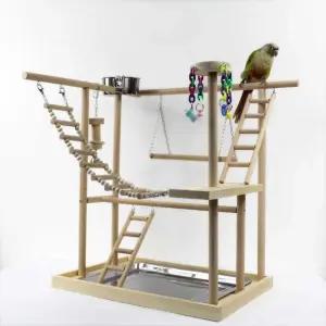 앵무새 키우기 횟대 상호 교감 원목 훈련장 놀이터