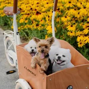 요요시스터 애견자전거 세발 자전거 애완동물 애완견