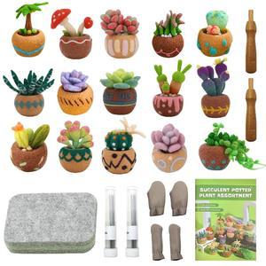 JEVUOYEE 초보자 다육 설명 펠팅 매트 키트 로빙 공예 식물 바늘 바늘 15개 데코