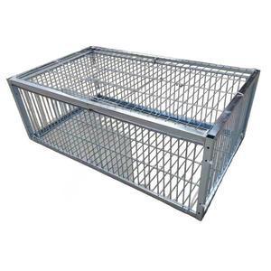 비둘기 틀 까지 동물 비둘기덫 펜스 프레임 새장