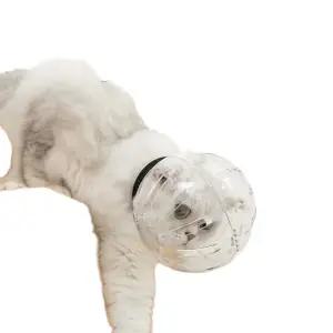 고양이 헬멧 물림방지 커버 강아지 투명 머리 썬캡 넥카라