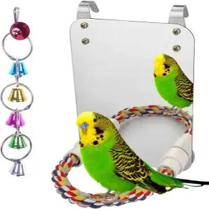 로프 퍼치가 달린 7인치 버드 미러 그레이 아마존 앵무새 코카티엘 코누어 러브버드 핀치 카나리아를 위한