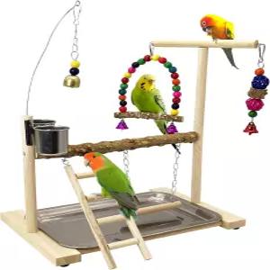 Tfwadmx 새 놀이터 앵무새 놀이 스탠드 새장 체육관 잉꼬 사다리 운동 코카투 러브버드 작은 코뉴어