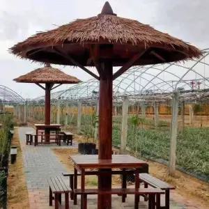 야외 초가파라솔 초가집 정자 파빌리온 밀집 볏집