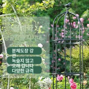 북유럽 지지대 식물 장미 철제
