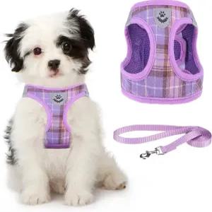 소형견을 위한 쿨테일 개 하네스 및 목줄 세트 당기지 않는 부드러운 메쉬 패딩 반사형 애완동물 조끼