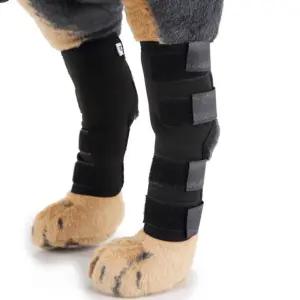 세일 다름 반려견 슬개골 관절보호대 L / 강아지 다리 NJV7+8ekP