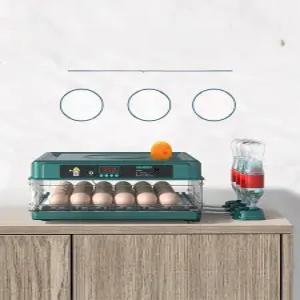 부화기 달걀 알 가정용 미니 계란 메추라기 유정란 조류 병아리 메추리 스마트 병아리육추기