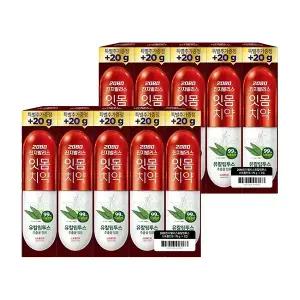 2080 진지발리스 유칼립투스 스트롱 170g, 5입, 2개