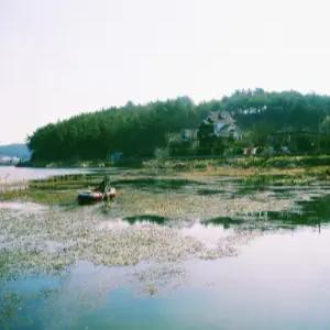 [충남 펜션] 태안(안면도) 자연과호수펜션 (태안,안면도)