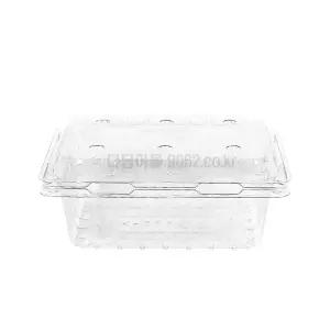 과일포장용기 블루베리 오디 딸기 500g 100개 KMD-506