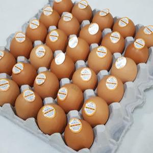 참나무촌 HACCP인증 구운계란30구