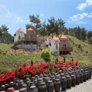 [충남 펜션] 보령(천북) 하늘관광농원펜션 (보령,대천해수욕장)