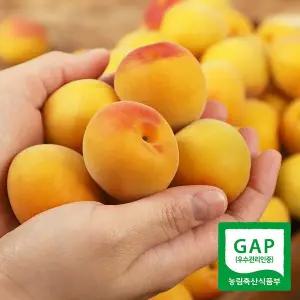 [광양매화골매실][6월15일 순차출고]광양매화골매실 황매실 특품 10kg