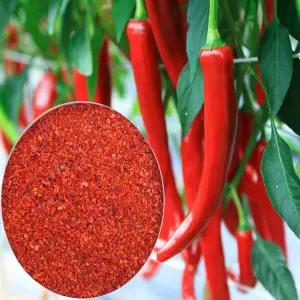 [25년 HACCP] 경북영양 고추/고춧가루 1.5kg