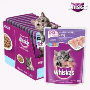 위스카스 파우치 주니어 고등어(80g)×24개