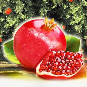 후레쉬 석류 3kg / 냉동 알갱이 석류 2kg 선택구매