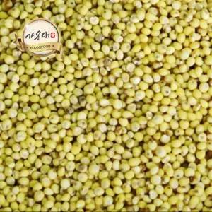 [가온애] 찰기장 500g / 잡곡 혼합곡 기장 기장쌀 국산기장 국산잡곡 잡곡쌀 슈퍼푸드 잡곡류 30종 모음