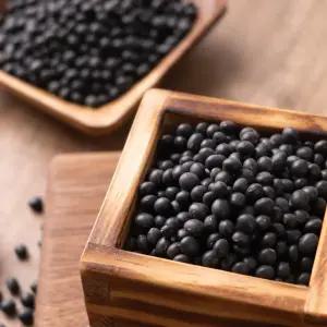 국산 쥐눈이콩 1kg 햇 잡곡 약콩