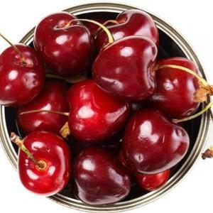 체리생과 체리 생체리 수입과일 1kg 과일