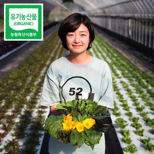 [순창 유기농 쌈채소] 당일수확 모듬 쌈채소 1kg 상추 케일 6~8종