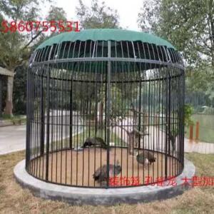 초대형 새장 동물원 야외 앵무새 놀이터 케이지 철장