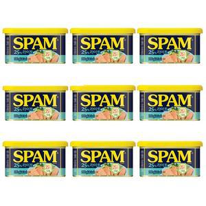 스팸 25%라이트 200g 9개