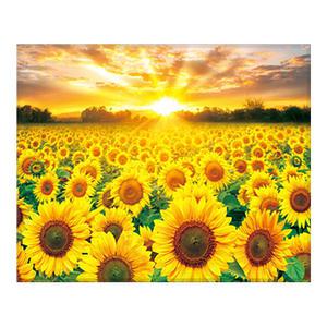 DIY 보석십자수 해바라기의 아침인사 40x50cm 캔버스형