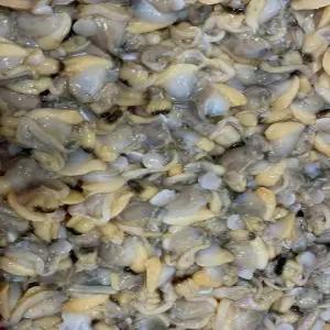 국내산 깐 바지락살 200g 내외 손질 칼국수 미역국 수제비 요리 당일조업 활바지락 조갯살 반찬 재료