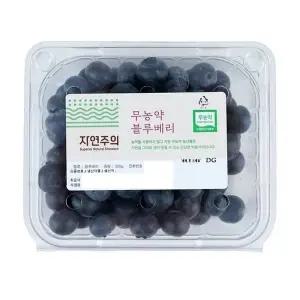 친환경 생블루베리 200g/팩