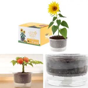 자동물공급 삼투압 화분 해바라기 씨앗 세트/새싹/키우기/식물/키트/원예/미니/기르기/홈가드닝/재배기
