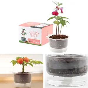자동물공급 삼투압 화분 봉선화 씨앗 세트/키우기/원예/키트/미니/식물/기르기/새싹/홈가드닝/재배기/반려