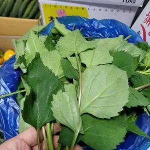 취나물 국내산 4kg 1관 포대 발품장터