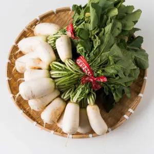 강원도 고랭지 황토밭 알타리무 총각무 무우 4-8kg