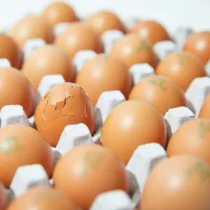 맥반석 구운계란 중란 / 90구 + 소금 3봉