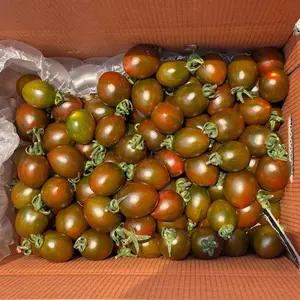 부산 대저 흑방울토마토 1kg