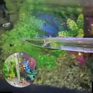 청소 어항 치어 분리 왕스포 어항스포이드 대형 30ml 대형스포 이드 스포 스포이드 왕 청소 대형 어항