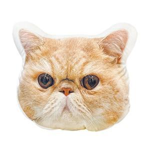 DIY 커스텀 포토쿠션 맞춤 필설 애완견 고양이 시뮬레이션 강아지 제작 피규어