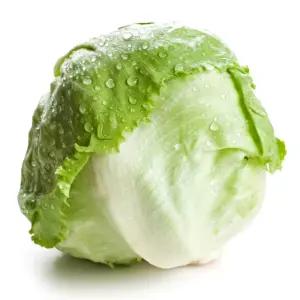 더맛상 국내산 양상추 샐러드용 1kg 내외 2통