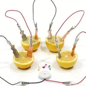 기초회로 체험 안전집게 과일전지 실험세트 과학탐구키트 과학실험도구