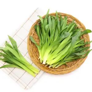 생원추리 국내산 원추리 봄나물 산나물 원추리나물