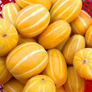 아삭한참외  신선과일 당도 높은 상주참외 2KG 당일수확 노란 꿀 참왜