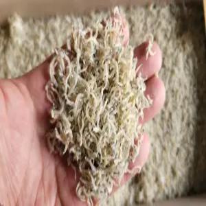 강일건어물 세멸치 지리멸치 1.5kg(박스) 최저(사은제품)