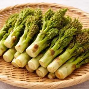 국내산 참두릅 500g 산두릅 산나물 봄나물 제철나물