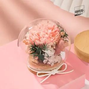 [꾸꾸까까]아이두 DIY 카네이션 글래스볼 미니 테라리움 만들기 키트 핑크