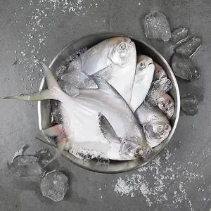 [국내산] 급속 냉동 병어 중 2kg (kg당 5-8미 내외/실링포장)