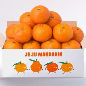 제주 중문농협 달콤한 봄귤 카라향 4.5kg (14Brix 이상)