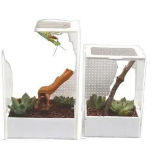 사마귀 사슴벌레 곤충 사육 아크릴 케이지 미니 투명 박스