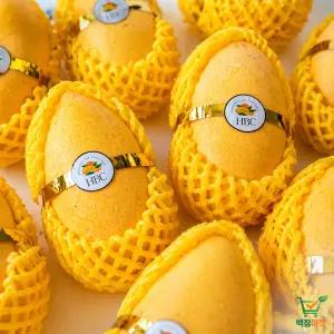 백점마켓 엄선 태국 골드망고 프리미엄 고당도 특품 대과 선물용 망고_8과,10~14과(5kg 1박스)