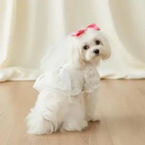 [JED] 레이스 베일 꽃무늬 S 촬영 원피스 강아지 세트 화동 의상 웨딩드레스 M L